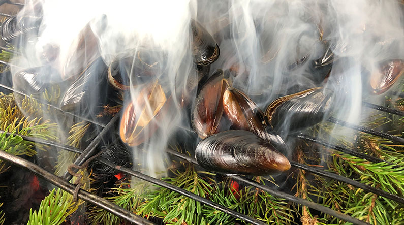 Røgede muslinger_vild mad_795x443px