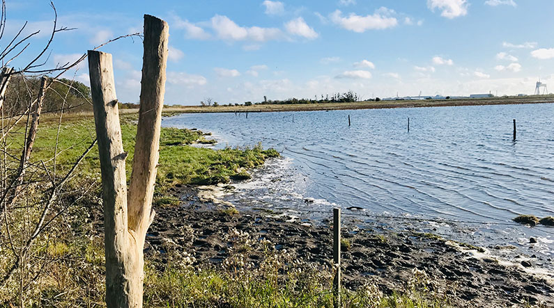 Vigelsø_795x443px