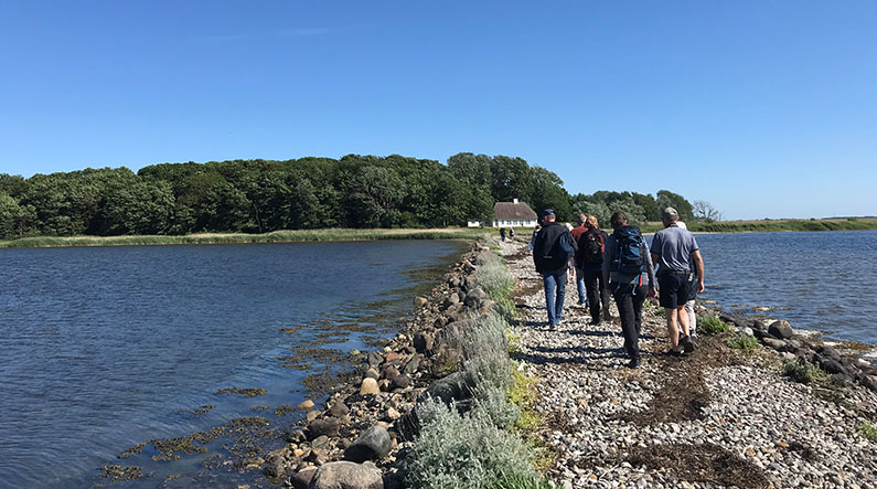Vigelsø_landtange_795x443px