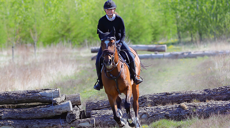 Elmelund Skov_foto Kenneth Eriksen Fangetaflinsen_795x443px Springridning i Elmelund skov. Foto Kenneth Eriksen @fangetaflinsen