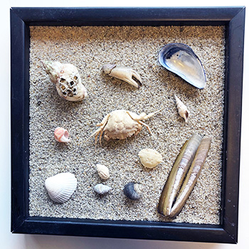 Strandbillede