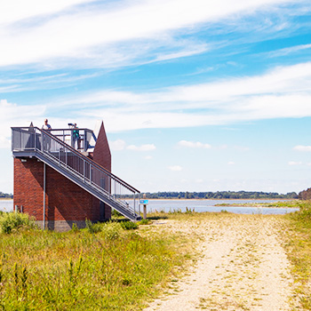 Klik og læs mere om Gyldensteen Strand