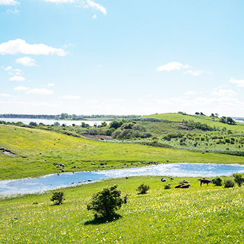 Klik og læs mere om Sybergland, Kerteminde