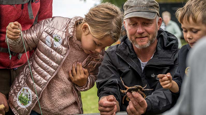 Fjordens Dag_795x443px Fjordens Dag_795x443px